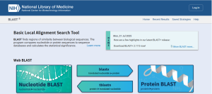 BLAST dalam Bioinformatika: Jenis, Langkah, dan Aplikasinya